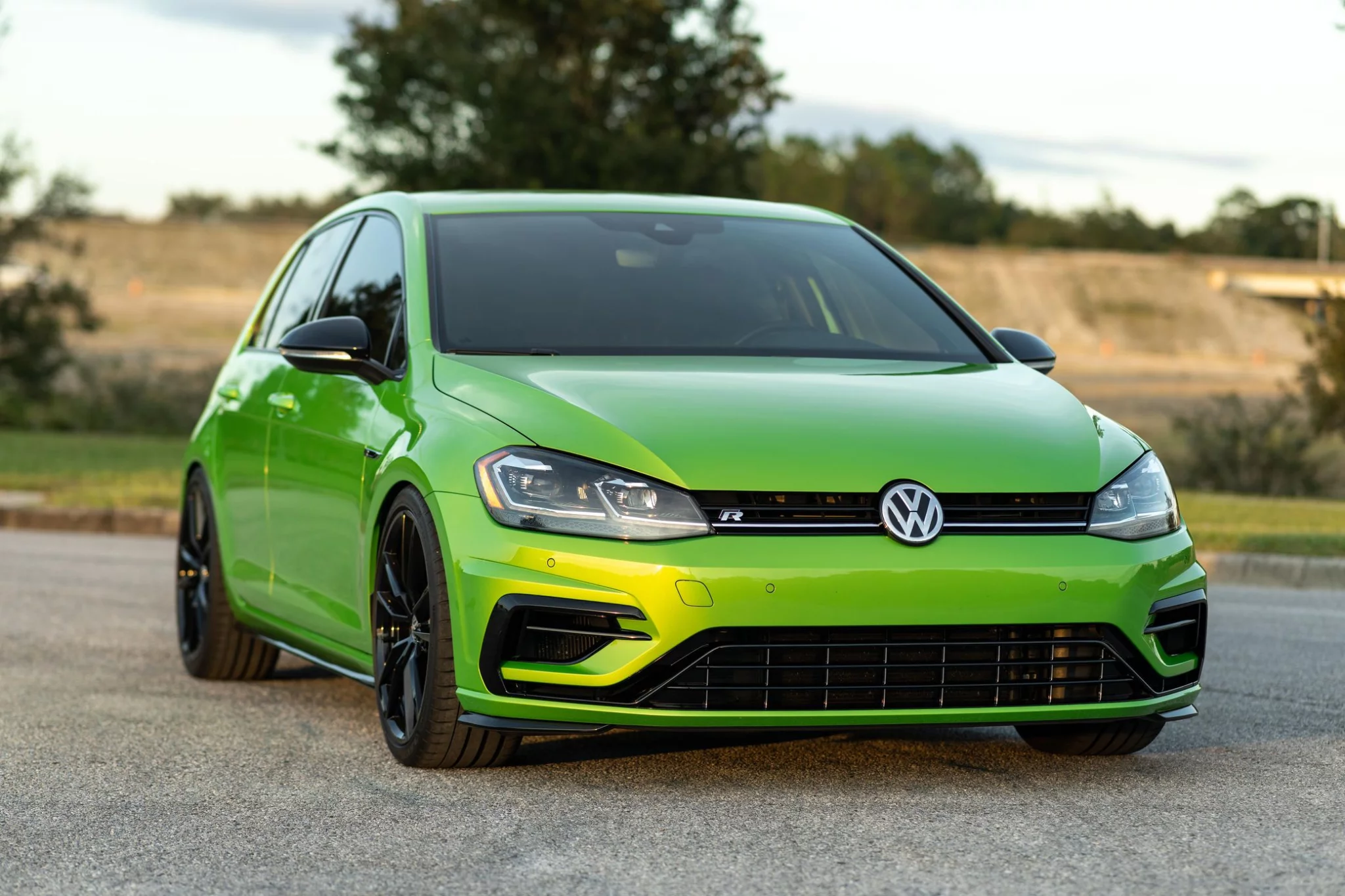 Viper Green - Volkswagen Golf R (Mk7.5) - carpaints.co